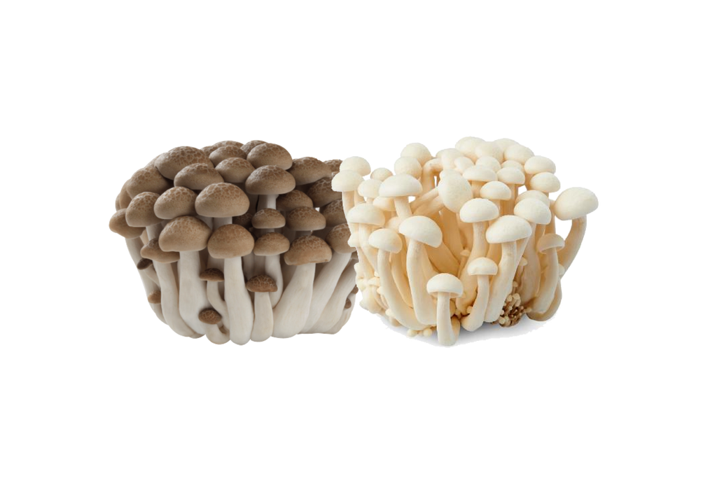 Bunashimeji Mushroom | Eatoo UK