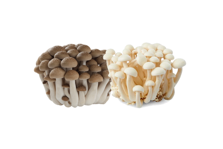 Bunashimeji Mushroom | Eatoo UK