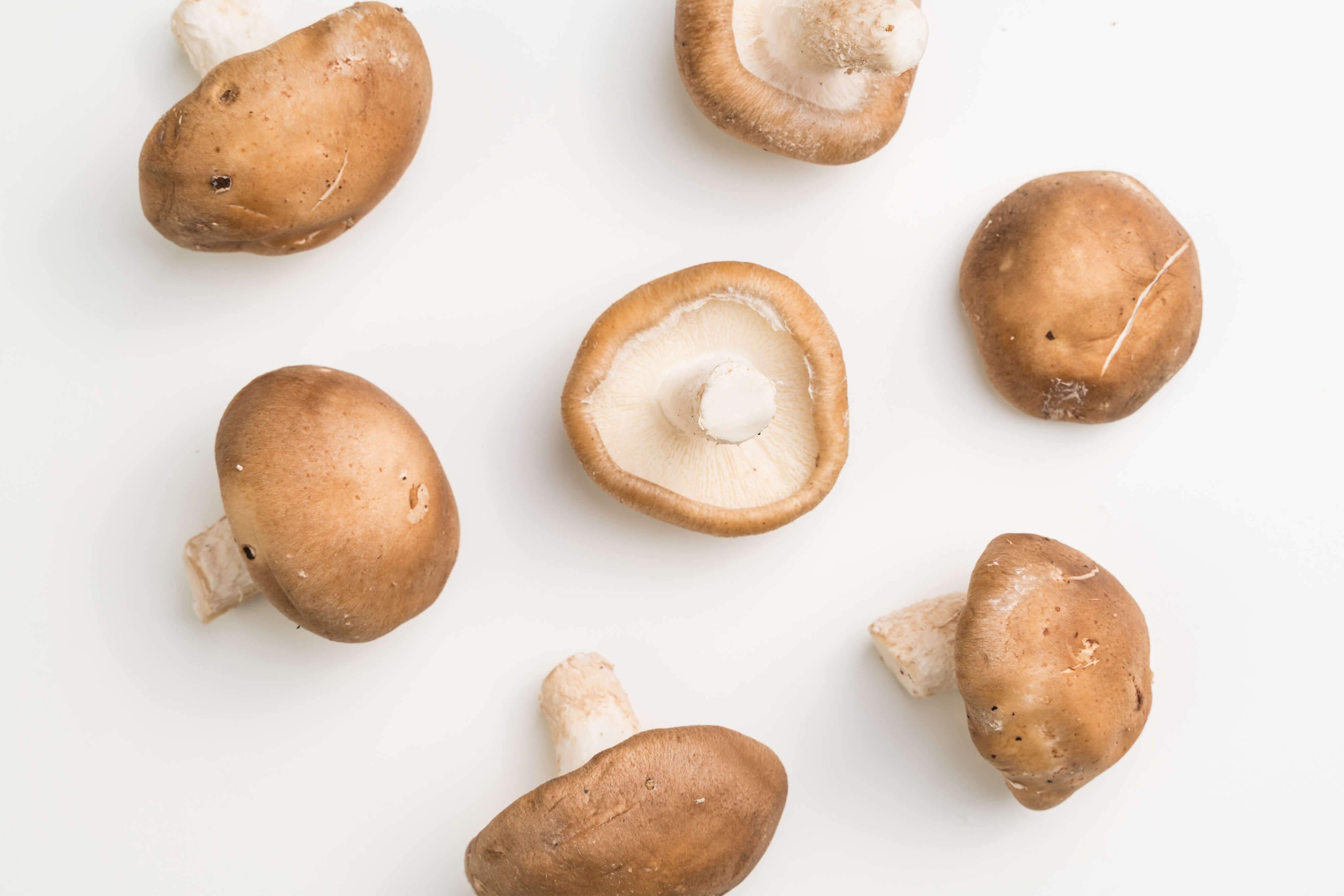 Shiitake Mushroom | Eatoo UK