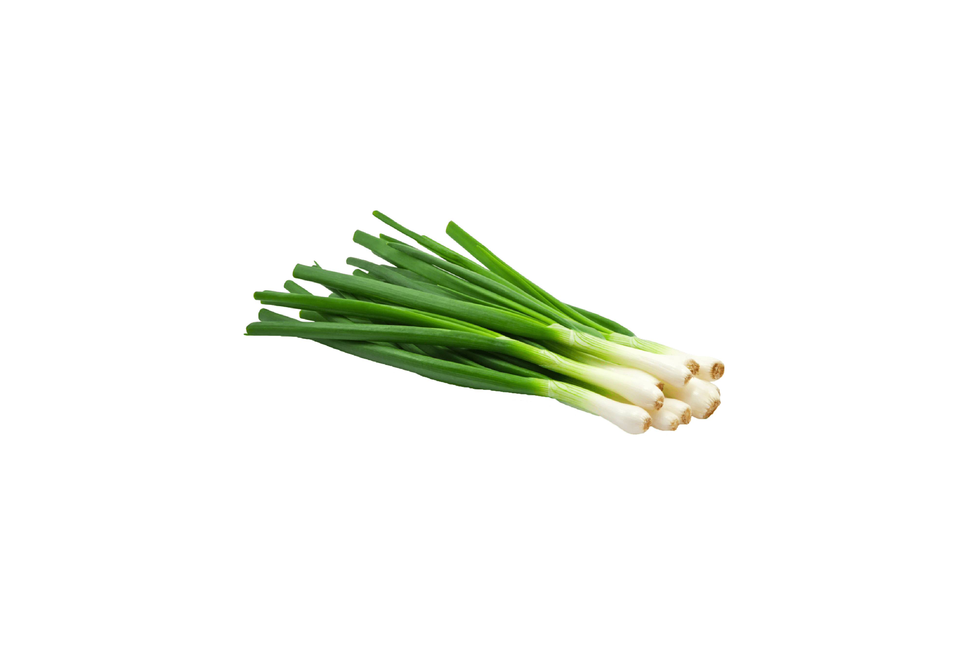 Spring Onion | Eatoo UK